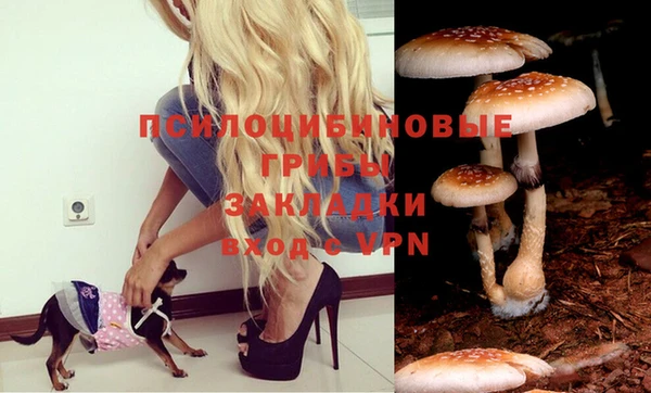 соль курить ск Балахна