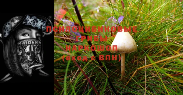 2c-b Балабаново