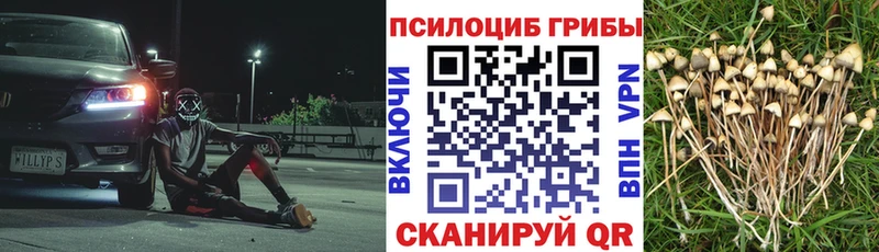Псилоцибиновые грибы ЛСД Белёв